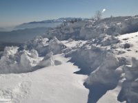 2019-02-19 Monte di Canale 161